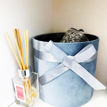 Victoriei - Parc Kiseleff Апартаменты