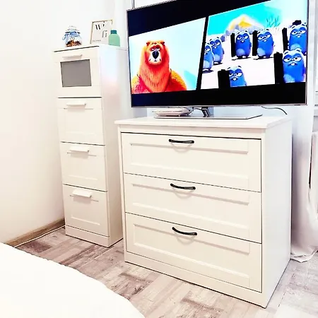 Victoriei - Parc Kiseleff Apartment Bucharest