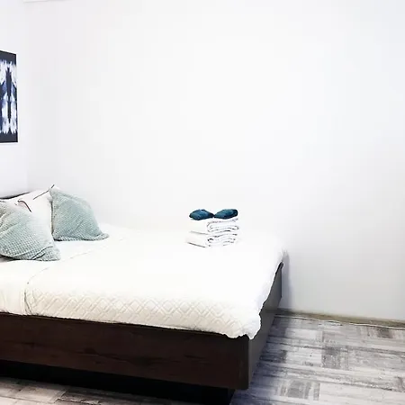 Apartment Victoriei - Parc Kiseleff *